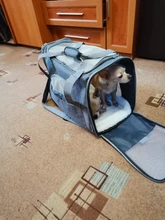 Dog-Carrier-Bags Airline Pet-Cat-Dog-Backpack Portable Cats Small Dog for Approved