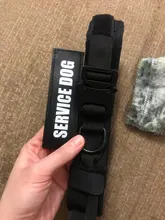 Collar táctico militar ajustable para perro, collares para perro y mascotas, correa de Control, Asa de entrenamiento, Collar de Gato para perros pequeños y grandes