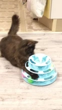 3 Levels Pet Cat Toy Funny Tower Tracks Disc Cat Tracks Toys Training Intelligence Amusement