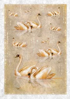 

Decoupage "love2art" IRP paper Rice 32x45 cm IRP 0001 Swans