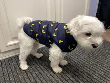 Pet Dog Winter Coat Small Dog Clothes Warm Dog Jacket Puppy Outfit Dog Coat Chihuahua