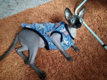 Abrigos para gato y cachorro de dibujos animados, chaqueta de lana cálida para perros pequeños, ropa de Chihuahua, ropa de Yorkshire, Otoño e Invierno