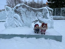 Puppy-Boots Pet-Shoes Lovely Dogs Snow Anti-Slip Zipper Winter Warm Denim Lets Casual