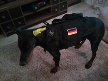 Vest Pouches Pet-Harness Dogs No-Pull Training Molle Military Hiking Tactical Large Medium