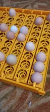 Incubation-Equipment Poultry-Incubator Turn-Tray Chickens-Ducks Automatically-Turn-Eggs