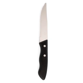 

Knife Set Amefa Trappeur XL (3 pcs)