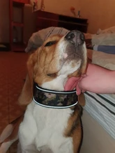 Dog-Collar Pitbull German Shepherd Reflective Nylon Padded Breathable Striped Large Medium