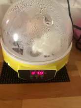 Automatic Incubator Brood-Machine Chicken-Duck Mini 7-Eggs-Capacity Electronic