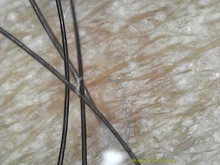 Microscopio Digital profesional con USB, endoscopio electrónico con aumento de cámara y soporte de elevación, 1000X 1600X, 8 LED, 2MP