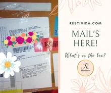 15,6 pulgadas IPS 1920x1080 J3455 portátil Quad Core computadora portátil 8GB + 128GB 256GB 512GB 1T SSD ROM Windows 10 portátil Ultrabook