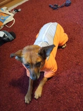 Winter Overalls for Dogs Warm Waterproof Pet Jumpsuit Trousers Male/ Female Dog Reflective