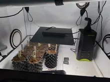 600W LED Diodes 2x3ft-Tent Grow-Light Seedling-Veg High-Ppfd Samsung Lm281b Blooming