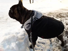 Jacket French Bulldog Dog Winter SUPREPET Coat Pet-Dog Dogs Large Cotton for Warm Perro