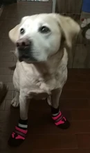 Zapatos para perros de invierno resistente al agua, 4 Uds., botas antideslizantes para nieve y mascotas, Protector de pata reflectante cálido para perros medianos grandes, Labrador Husky