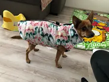 Vest Coat Jacket Pet-Dog-Clothes French-Bulldog-Pet Dogs Small Waterproof Large Winter