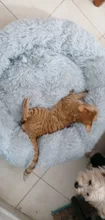 Cat-Mat Sofa Kennel Sleeping-Bag Dog-Cushion Pet-House Kitty Comfortable Round Plush