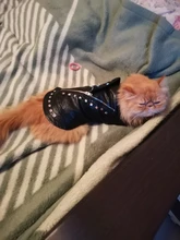 Pet Clothing Costumes Coat Kitten-Outfits Yorkshire Puppy Winter Warm Autumn for Chihuahua