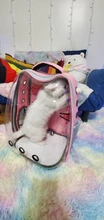 Backpack Pet-Carrier-Bag Dog Travel Transparent Outdoor Breathable for Cat And Space