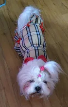 Dress Costume Dog-Puppy-Clothes PET PETCIRCLE Small Dog Classic Check Fit Pet-Cat All-Seasons