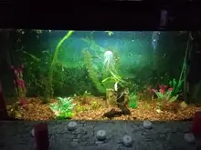 Aquarium-Accessories Decoration Materials Fish-Tank Artificial Green 20cm PVC Plants