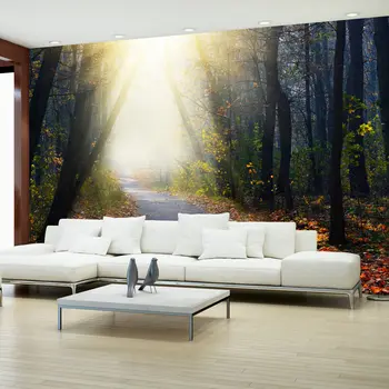

Wall mural-road through the forest-350x245 cm
