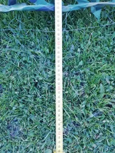 5*6m/1,5*3m Red de camuflaje militar camuflaje red ultraligero coche acampada, jardín tienda de lona toldo refugio para el sol Red de camuflaje de malla