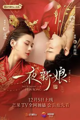 一夜新娘的海报