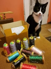 Cuerda de algodón para manualidades, cuerda de rosca de 0,2/0,25/0,5/0,7/0,8/1mm, compatible con abalorios, pulseras, collares, accesorios de joyería