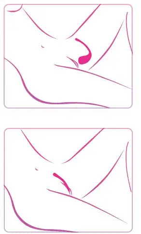 Умный розовый вибратор Lush Bullet Vibrator- 18 см