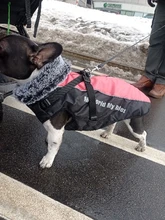 Dog Coat Harness Clothing Vest Jacket French Bulldog Waterproof Large Medium Winter Warm
