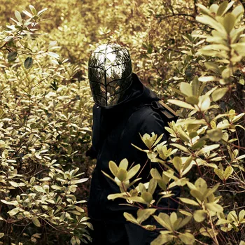 

Piano novel/Lumino Forest (LP)