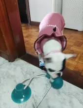 Juguetes para mascotas con copa de succión perro juguete con bola goma termoplástica para limpieza de perro juguetes para perros pequeños, perro de juguete