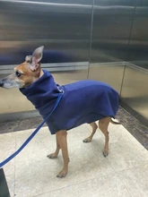 Clothing Pullovers Pet-Coat Pitbull Dogs High-Collar Winter Mascotas Large Medium Big