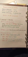 Recambio de cuaderno de hojas sueltas A5 A6 A7, carpeta espiral, planificador de página interior, papel diario semanal, Plan mensual para hacer línea, red de puntos
