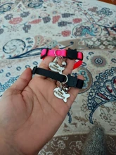 Collar de seguridad para gato, Collar de gatito personalizado de liberación rápida, Collar para gatos con campana para cachorro gatito