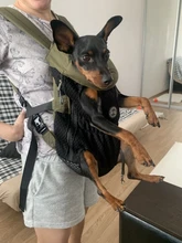 Backpack Carrier Cat-Accessories Front-Chest-Holder Chihuahua Puppy Large-Bags Pet-Dog