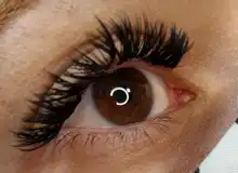 False-Lashes Eyelash-Extension Split-Tips Volume-Premium Premade Soft-Ellipse YY 2D Flat