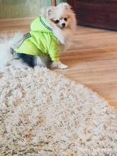 Jumpsuit Pet-Costumes Cotton-Padded Silver-Color Dogs Waterproof Winter Fashion for Hoodie