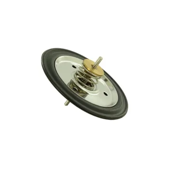 

Boiler membrane FAGOR mu086400 = 3013125 = 1019272 AS0033009, ST0004641