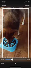 Pet lento comiendo perro lento, perro, alimentador del plato de comida de plástico duro perro lento de gato para mascotas alimentador antideslizante Anti tragando tazón alimentador