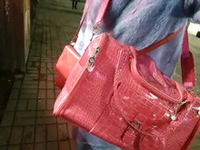 Dog-Carrier-Bag Travel Portable Purse Handbag Pet Small Dog Outdoor Chihuahua Cat 