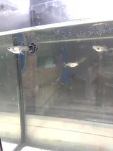 Led-Lighting Aquarium Chihiros Fish-Tank Aquatic-Plant Sunsun Ade Nicrew SMD 18W 220V