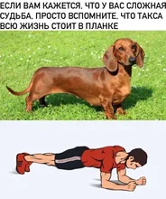 CPU Processor Intel-Core I5 2540m SR044 G2/rpga988b Quad-Thread 3M Ghz 35W