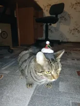 Costume Pet-Hat Pet-Cosplay-Clothes Christmas Cat Cute Dog Party-Decoration Glitter Elastic