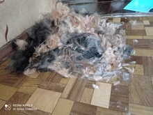 Pets-Clippers Hair-Trimmer Foot-Cutter Pet-Grooming-Kit Nail-Grinder Baorun Rechargeable