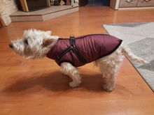 Pet-Dog-Jacket Harness Bulldog-Outfits Labrador Warm French Chihuahua Waterproof Large