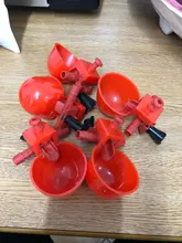 Automatic Drinker Chicken-Hen Poultry Water Bowl Pigeon Quail Plastic with 1-5pcs