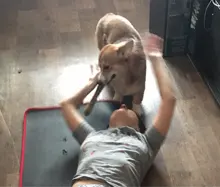 Colchonetas de Yoga antideslizantes 183cmx61cm, almohadillas extragruesas de 10mm para Fitness, Pilates, gimnasio, para hacer ejercicio