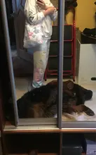 Youda-Bolso para flores de felpa suave para mujer, bandolera de gran capacidad para estudiante, bolso de compras sencillo