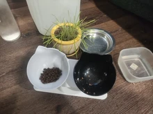 Cat-Bowls Bowl-Supplies Feeders Raised-Stand Double For Cats Dogs Non-Slip with Pet-Food